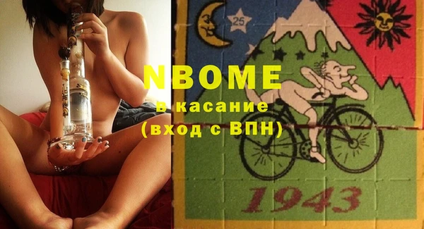 шишки Алексин