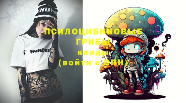 шишки Алексин