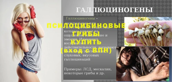 шишки Алексин