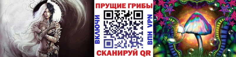 Псилоцибиновые грибы ЛСД Пучеж